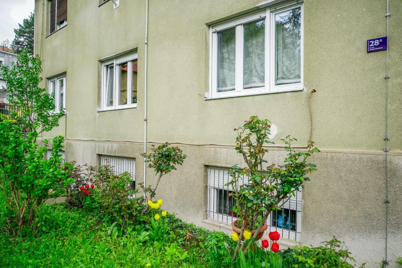 Yellow Bike Apartment 萨格勒布 外观 照片